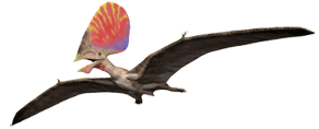 Foto eines Tupandactylus